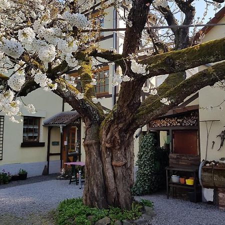 Ferienwohnung Zum-Alten-Kirschbaum Limburg an der Lahn Dış mekan fotoğraf