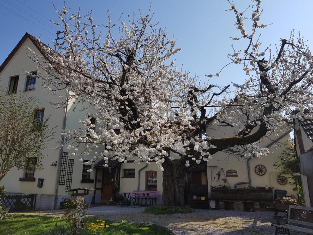 Ferienwohnung Zum-Alten-Kirschbaum Limburg an der Lahn Dış mekan fotoğraf