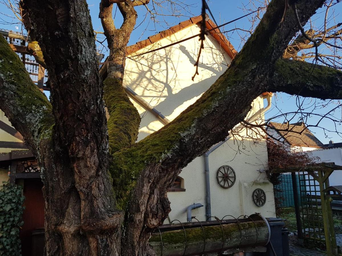 Ferienwohnung Zum-Alten-Kirschbaum Limburg an der Lahn Dış mekan fotoğraf