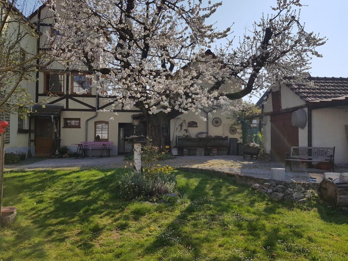 Ferienwohnung Zum-Alten-Kirschbaum Limburg an der Lahn Dış mekan fotoğraf